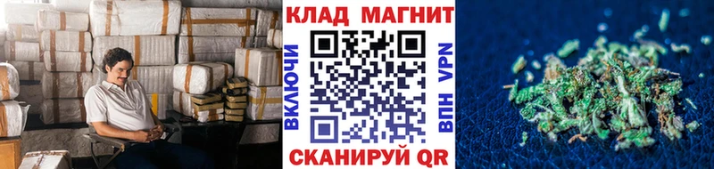 Купить наркотик Ивангород МАРИХУАНА  Меф  КОКАИН  A-PVP  БУТИРАТ  LSD-25  ГАШ 