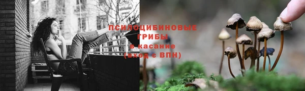 круглые Алзамай