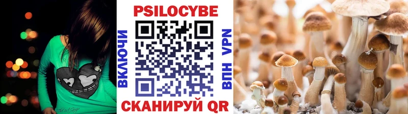 darknet телеграм  Ивангород  Галлюциногенные грибы Magic Shrooms 